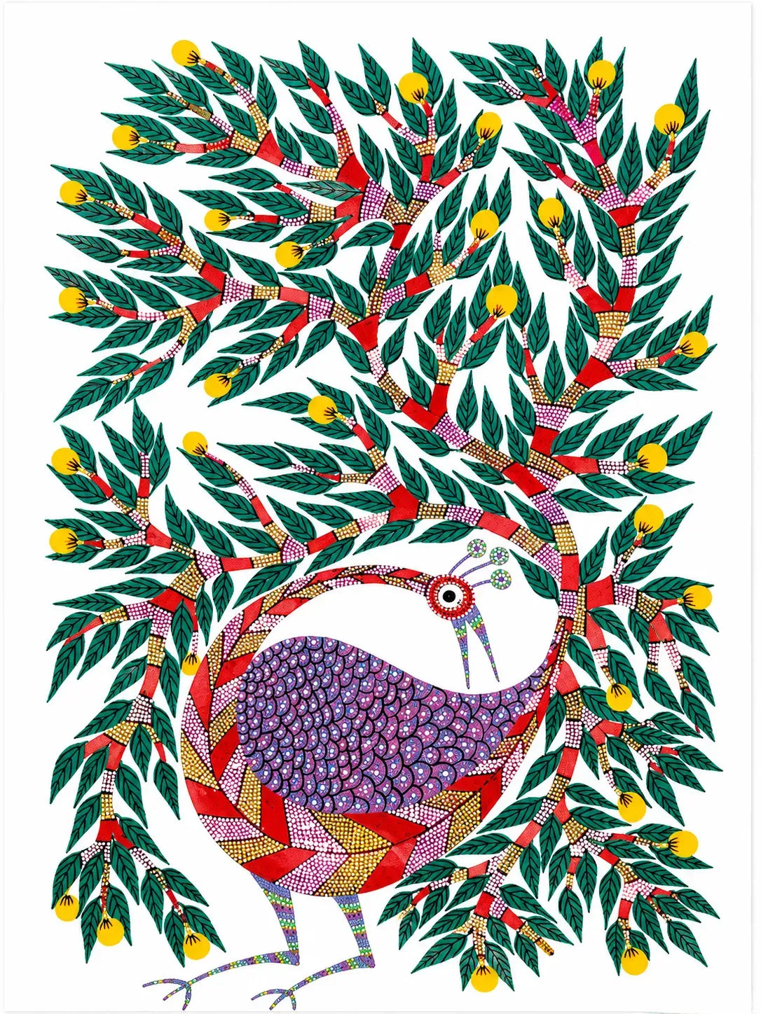 Peacock in Full Display