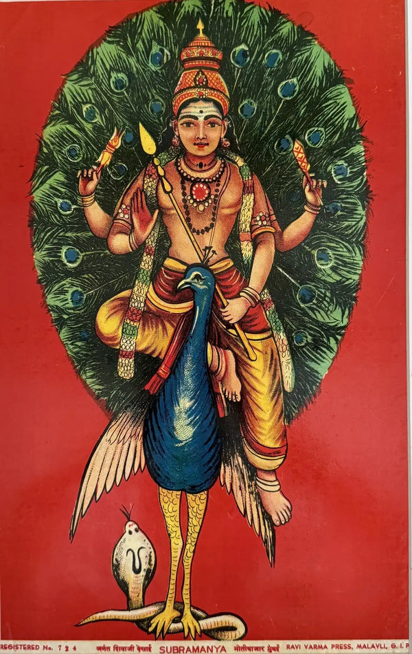 [Product Title] - Avyaan